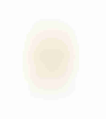 AROMA DELIGHTS ARTIFICIAL FLOWER FOAM PVC CREAM H7