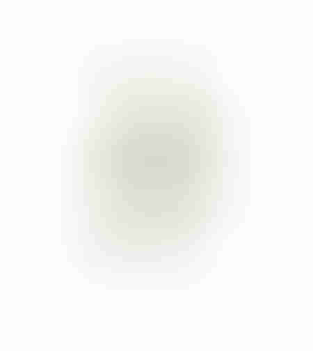 AROMA WISHPER ARTIFICIAL FLOWER FOAM PV GREEN GRE