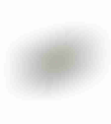 NEDD TRAY ALUMINIUM SILVER MATTE 30x15xH2cm IN