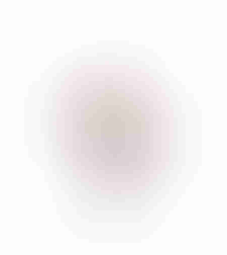 ARIANE 1 DECO CACTUS POLYRESIN NATURAL WHITE 19x6x