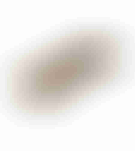 ORLY FLAT TRAY ALUMINIUM CHAMPAGNE 52x23xH2cm IN