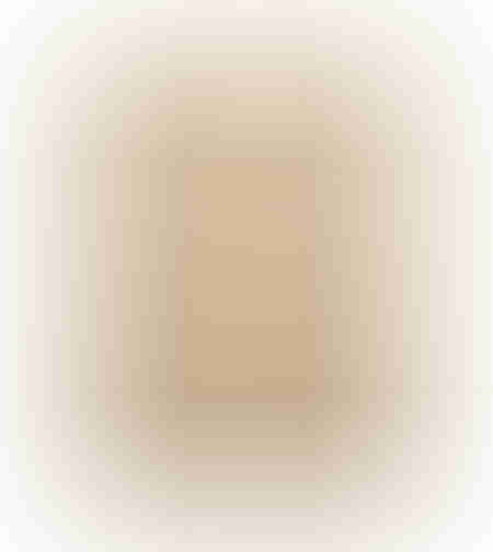 ZEB PAINTING DECORATIVE 90x120x5 CANVAS BEIGE WOOD NATURAL