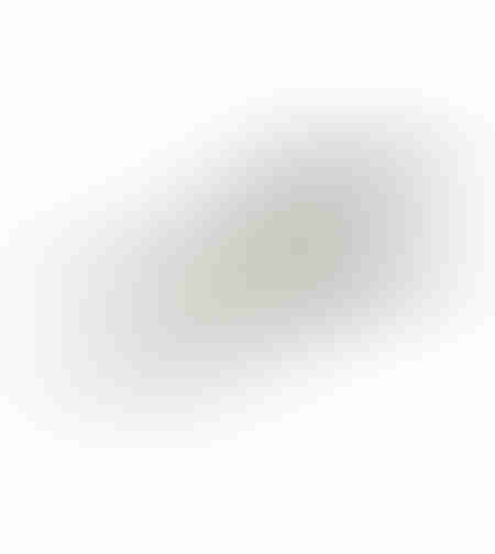 ORLY TRAY ALUMINIUM SILVER 52x20xH3cm IN
