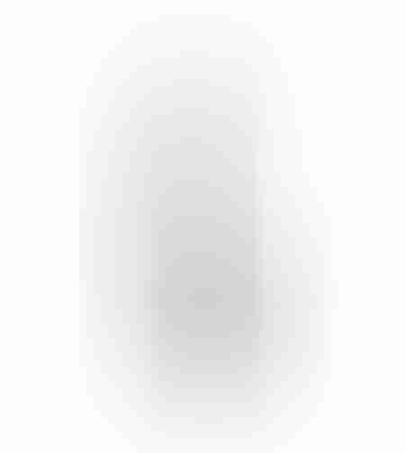 ART MIRROR ALUMINIUM BLACK 50xH115cm E1 PRC