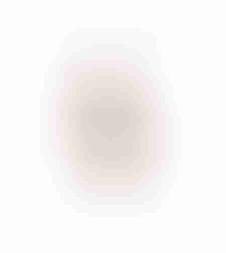 AROMA PARADISE ARTIFICIAL FLOWER FOAM PVC CORAL H7