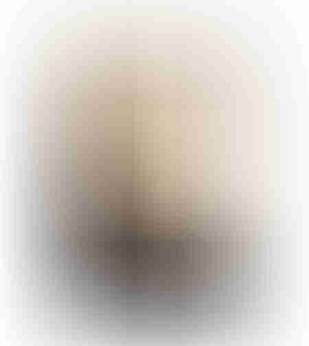 FREEFLOW PAINTING DECORATIVE WITH FRAME 80x120x4 CANVAS BEIGE BLACK PP GOLD