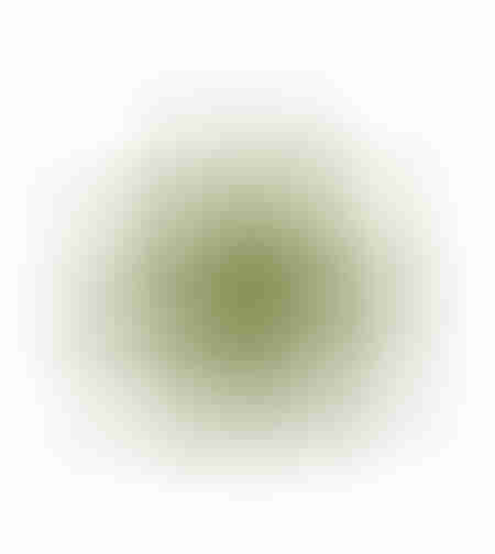 XMAS ROYAL FLOWER 1 FLOWER GREEN PRC