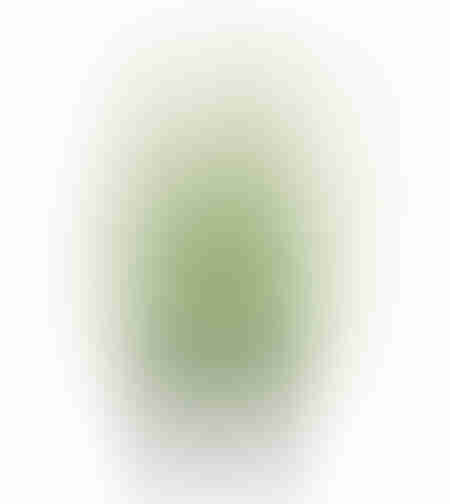 GRASS FLOWER ARTIFICIAL PLANT IN POT PVC GREEN H58