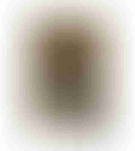 TIMELESS ELEGANCE B PAINTING DECORATIVE WITH FRAME 80x120x4 CANVAS BROWN BEIGE PP BLACK