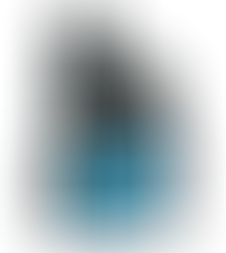 4-тактово мaсло WP 4T SAE 30
