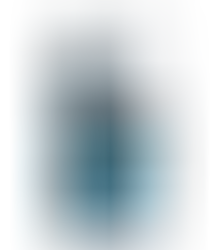 Двутактово масло XP® Synthetic