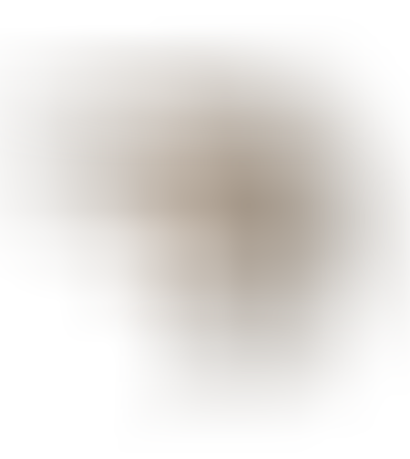 Щука 1215