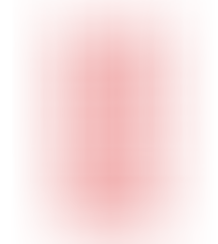 Шевица 223