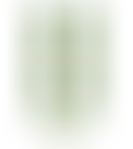 Шевица МН36