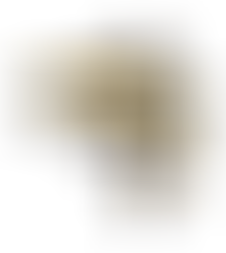 Щука 1214