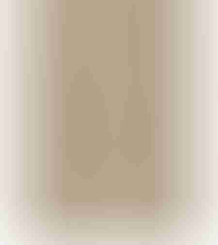 SPC Floor V Synchro WIRC55705 5мм