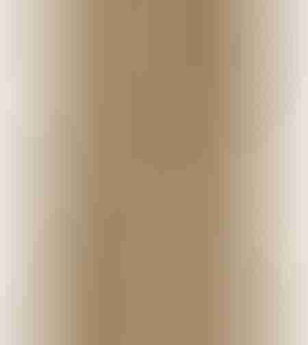 SPC Floor V Essentials WIRB 22512 5мм