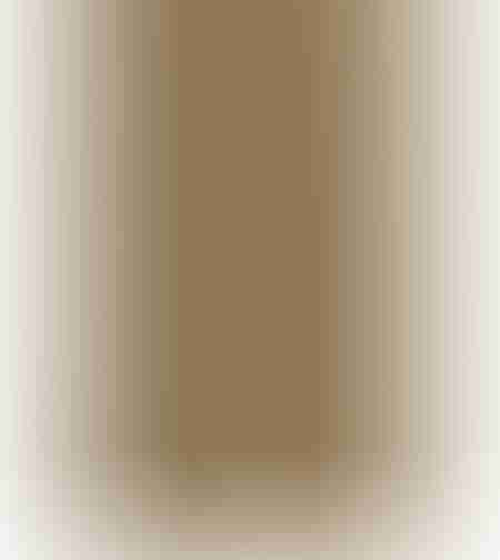 SPC Floor V Premium EIR WIR 21217