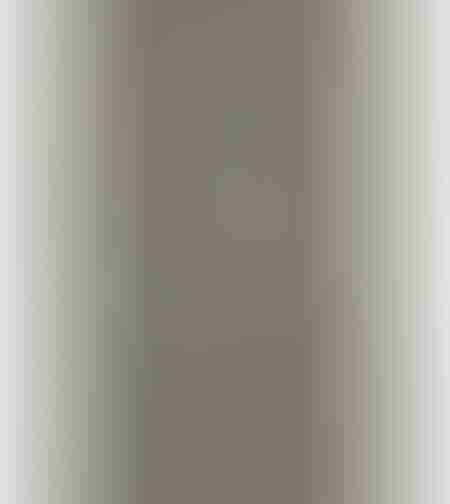SPC Floor V Essentials STB 2203 5мм