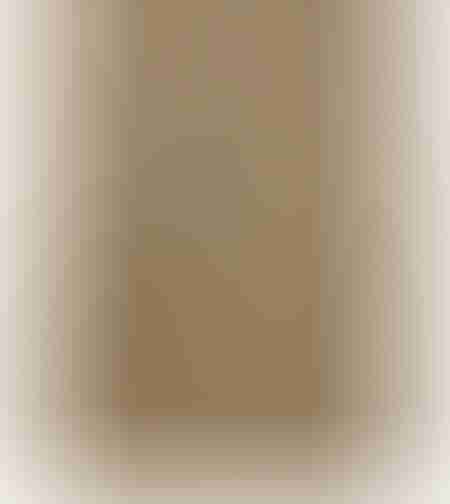 SPC Floor V Essentials WIRB 65301 5мм
