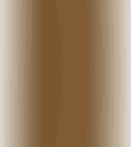 SPC Floor V Essentials WIRB 22425 5мм