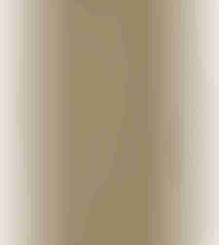 SPC Floor V Essentials WIRB 22092 5мм