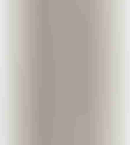 SPC Floor V Essentials WIRB 22510 5мм