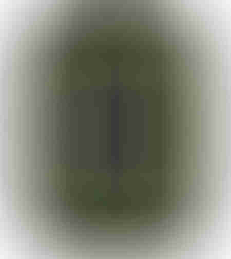 Ajax Button
