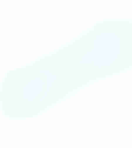 Ranga scos cuie Detoolz, 1.46Kg, 600x18mm G01