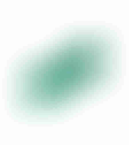 Plasa protectie plante anti-pasari 2m x 5m