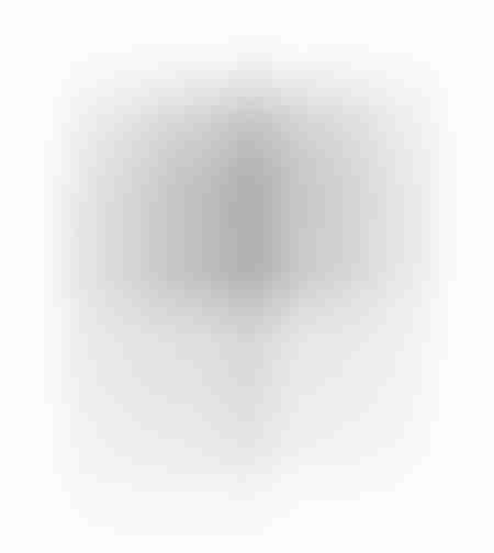 Scara telescopica dubla 3.2m - 10 trepte