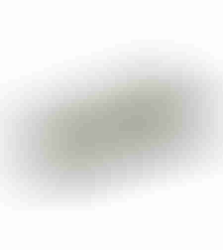 Set 2 cutite laterale 10.5x3.5 cm pentru tocator crengi