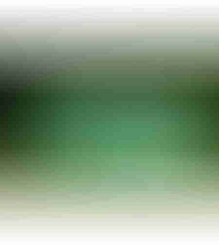 Solar/Sera Micul Fermier 8x3x2m , polietilena, densitate 140g/mp UV4