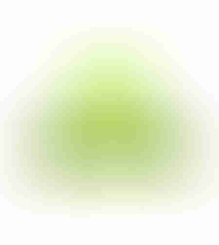 Vesta reflectorizanta verde