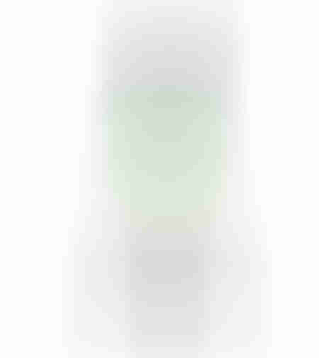 Foarfeca crengi telescopica Micul Fermier 67-99 cm Ø4.5 cm G01