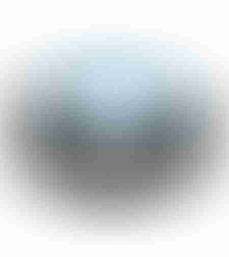 Cauciuc + camera Micul Fermier 4.00-8, profil floare, premium
