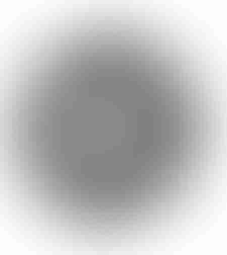 Matrita granulator GF-2017 gauri 6mm, Φ200x38mm