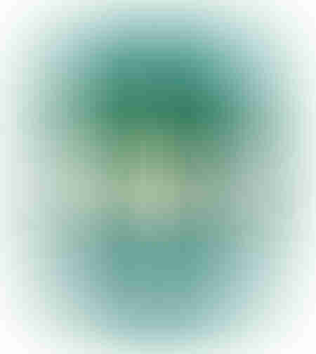 Fir vinil STANDARD 2mm 1Kg 200m