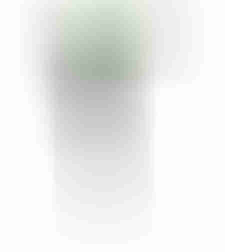 Aspersor rotativ Micul Fermier, 3 brate, Tarus P G01