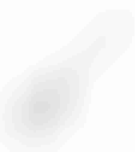 Paleta amestecare 580x120 pentru DZ-C205, DZ-C207