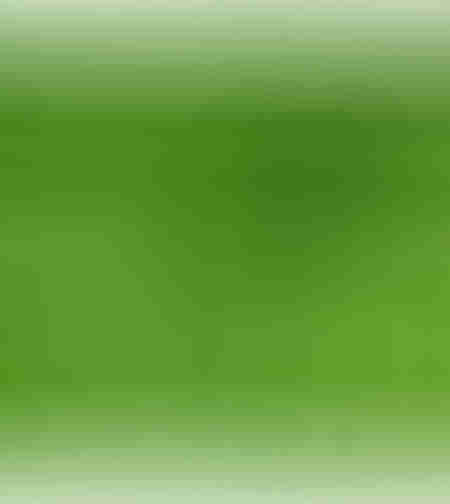 Gard viu artificial Micul Fermier, 1.5x3m, frunze G01