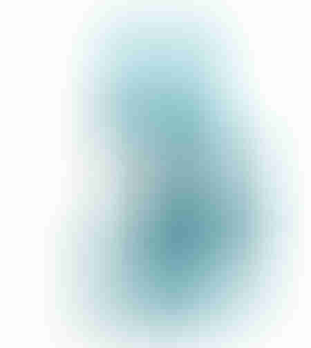 Cric hidraulic 4T tip butelie