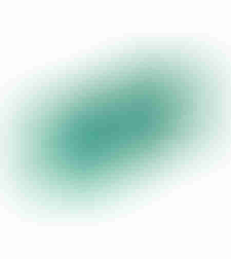 Plasa protectie plante anti-pasari 2m x 10m