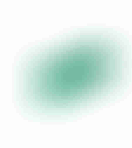 Plasa protectie plante anti-pasari 4m x 6m