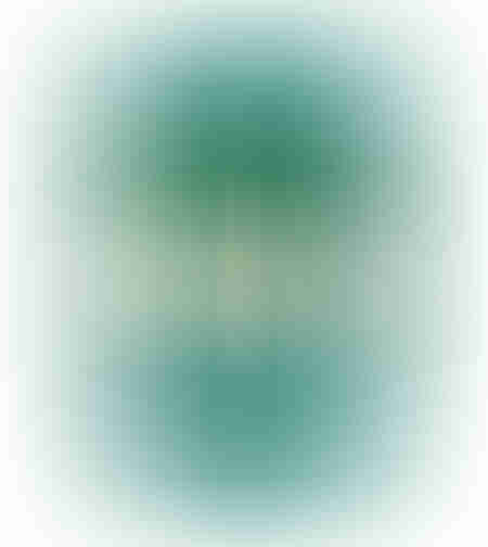 Fir vinil STANDARD 3 mm 1Kg 160 m