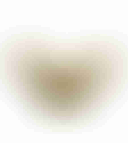 Palmari PIELE COMPLET (elastic) (12pcs)