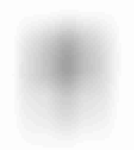 Scara telescopica dubla 4.4m - 14 trepte
