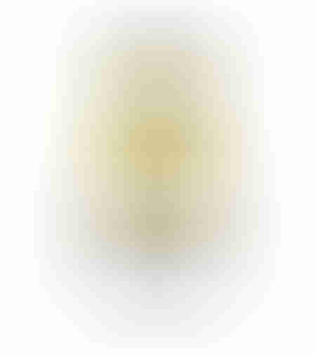 Fir trimer/MTC cu insertie metal 10M 2.4mm