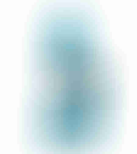 Cric hidraulic 6T tip butelie
