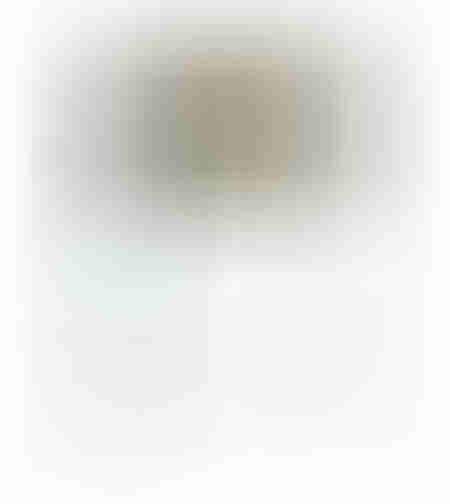 Scara telescopica 2m - 7 trepte